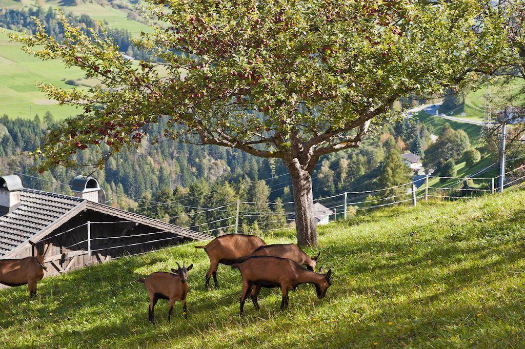 Hotel Gasthof Handl Schönberg im Stubaital Exterior foto